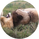 Jeandre Boullion profile picture